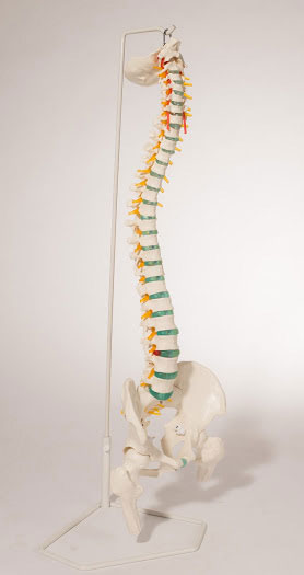 vertebral subluxation